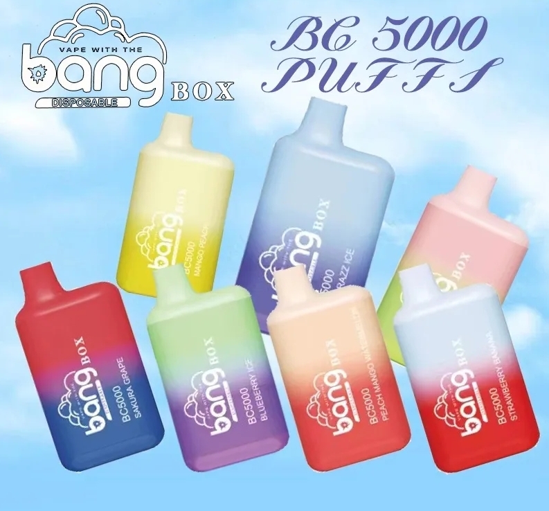 Bang Vape Box BC5000 – Blueberry Ice: De Perfecte Mix van Kracht, Smaak en Gemak